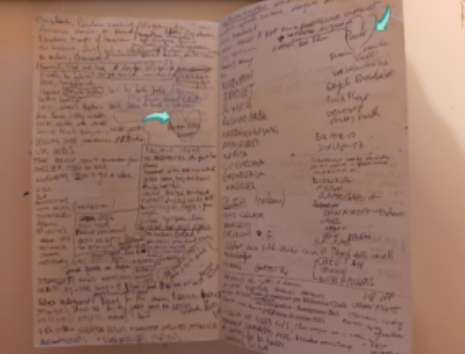 foto delle ultime pagine dellibro su cui ci sono mlte note scritte a mano dall'autrice