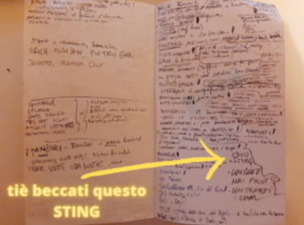 foto delle ultime pagine del libro su cui ci sono molte note scritte a mano dall'autrice con una freccia aggiunta in colore giallo neon che dice "beccati questo sting" e punta sulla nota "odio sting"